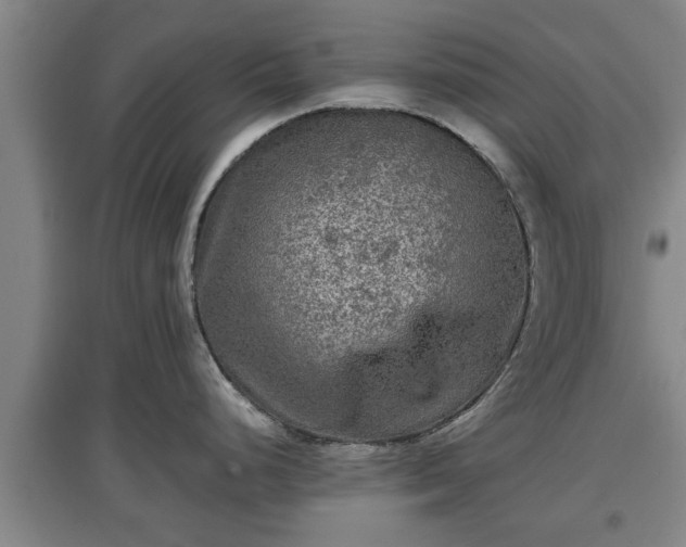 X0000097481248200802291351