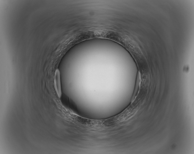 X0000097481249200802291350
