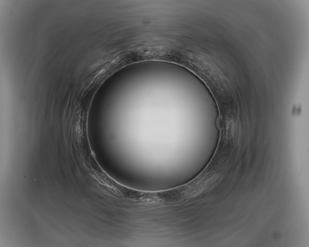 X0000097481250200802291350
