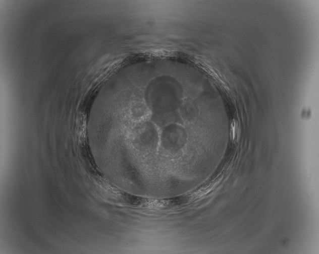 X0000097481251200802291350