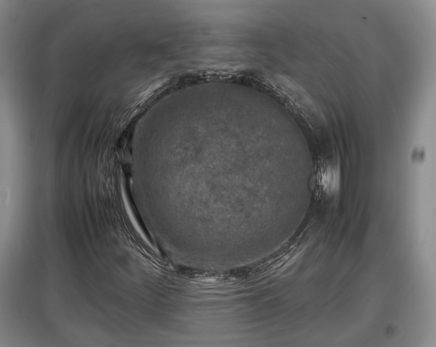 X0000097481252200802291350