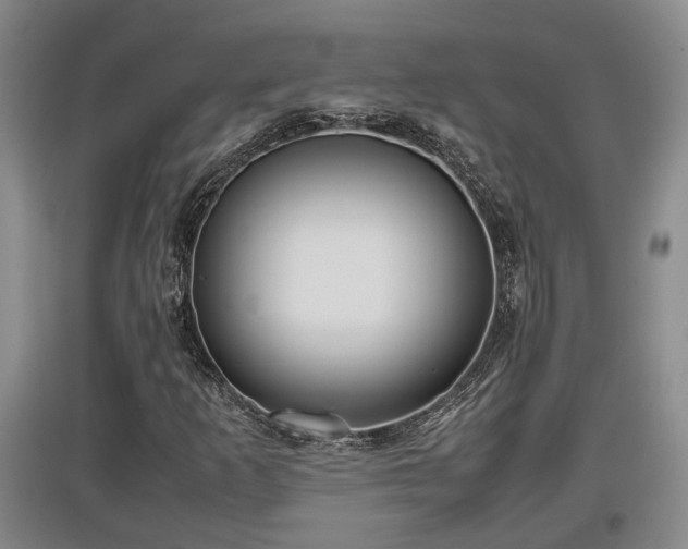 X0000097481253200802291350