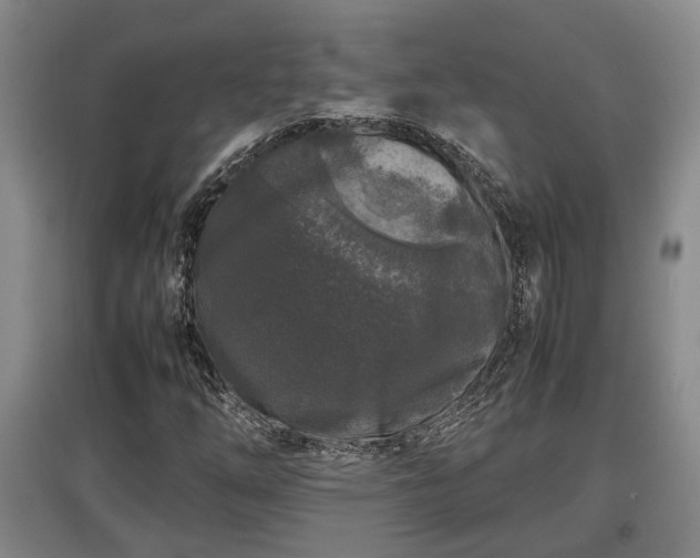 X0000097481254200802291350