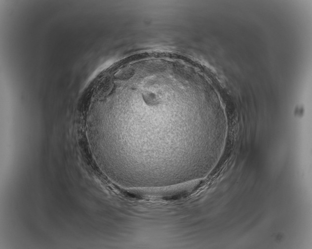 X0000097481255200802291350