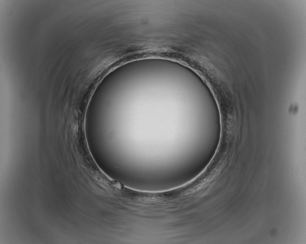 X0000097481257200802291350