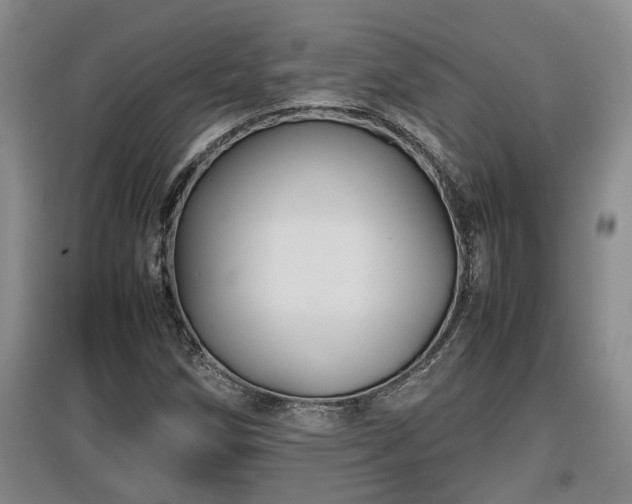 X0000097481258200802291350