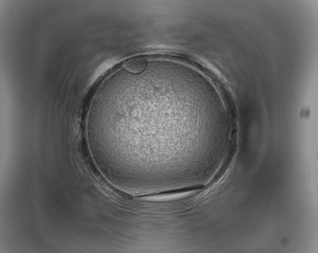 X0000097481259200802291350