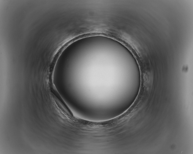 X0000097481260200802291350