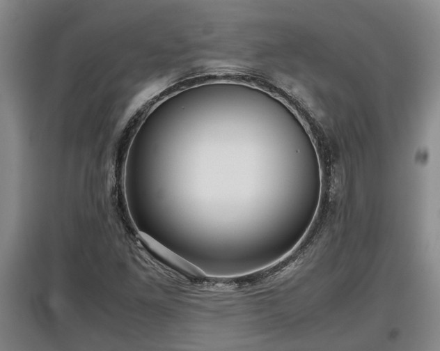 X0000097481261200802291350