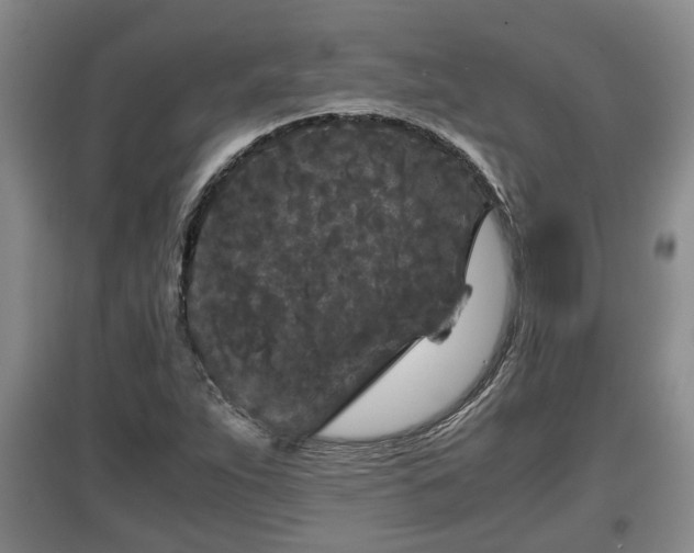 X0000097481263200802291350