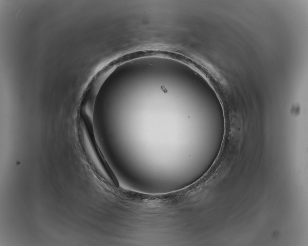 X0000097481264200802291350