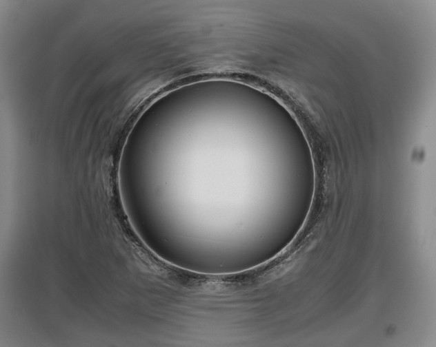 X0000097481265200802291350