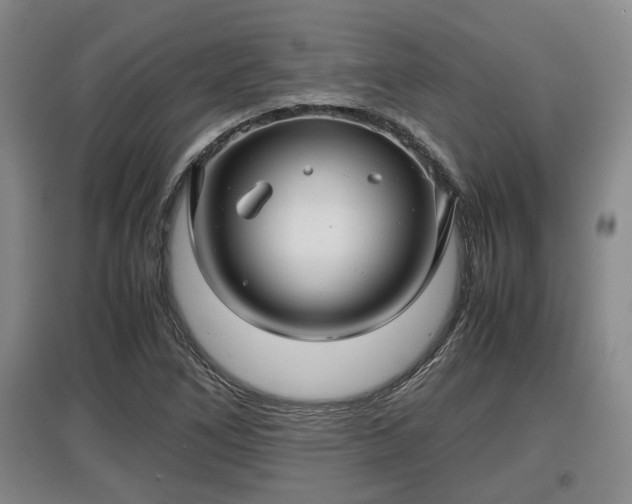 X0000097481266200802291350