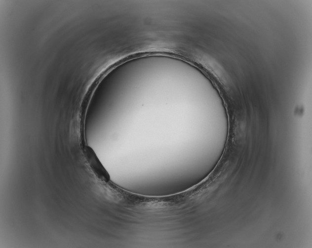 X0000097481268200802291350