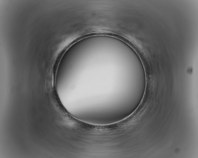 X0000097481269200802291350