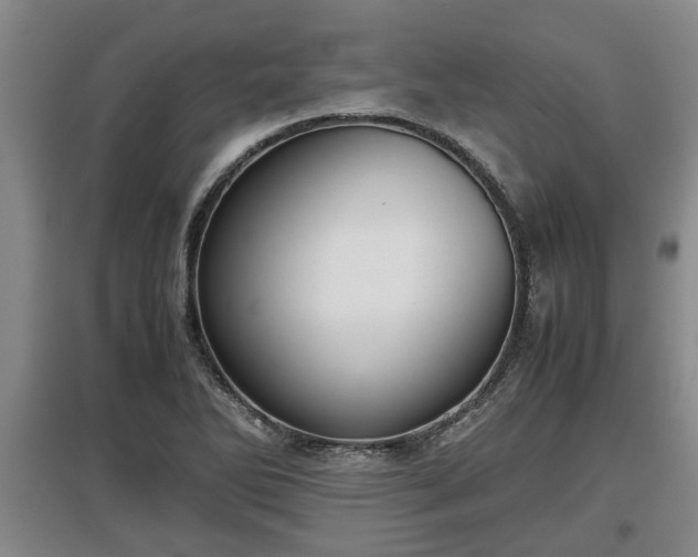 X0000097481270200802291350