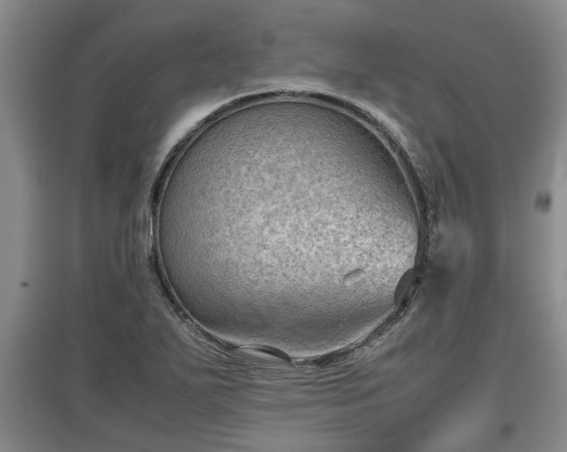 X0000097481271200802291350