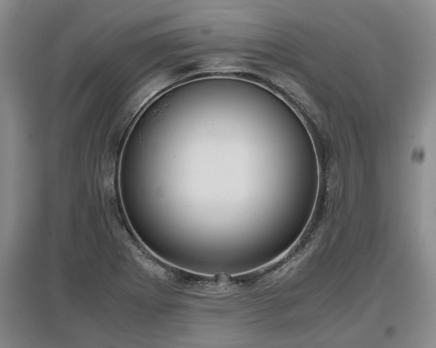 X0000097481273200802291350