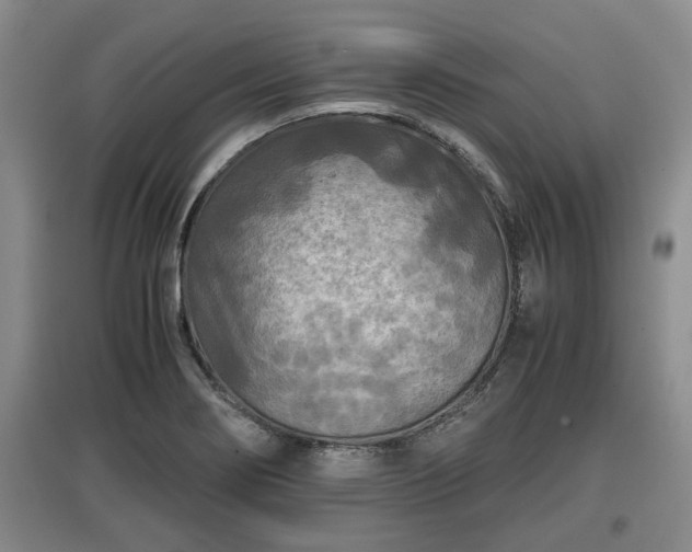 X0000097481274200802291350