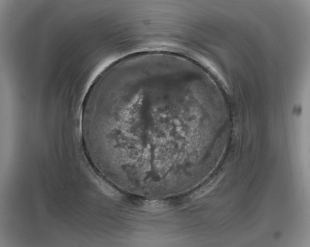 X0000097481275200802291350