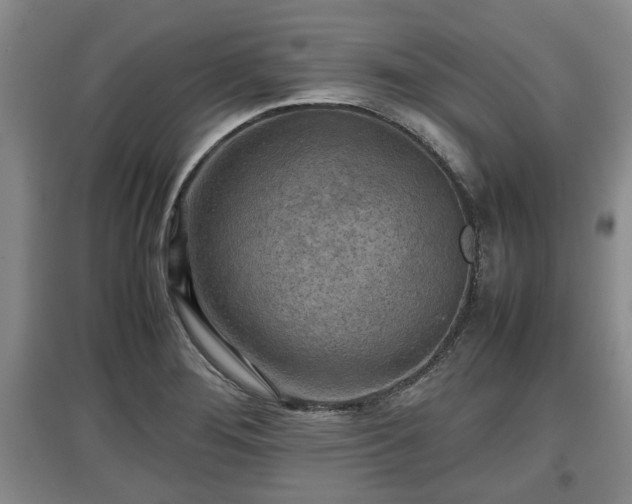 X0000097481276200802291350