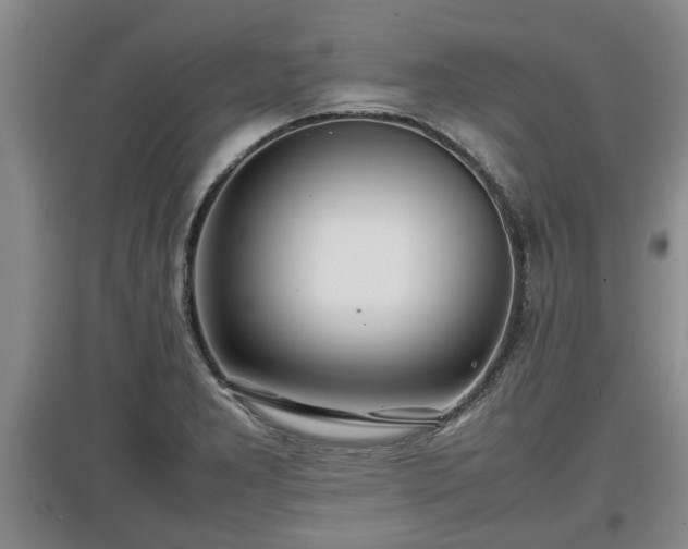 X0000097481277200802291350