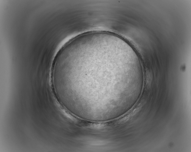 X0000097481278200802291350