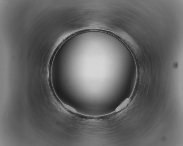 X0000097481280200802291350