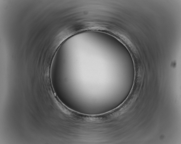 X0000097481281200802291350