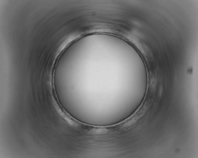 X0000097481282200802291350