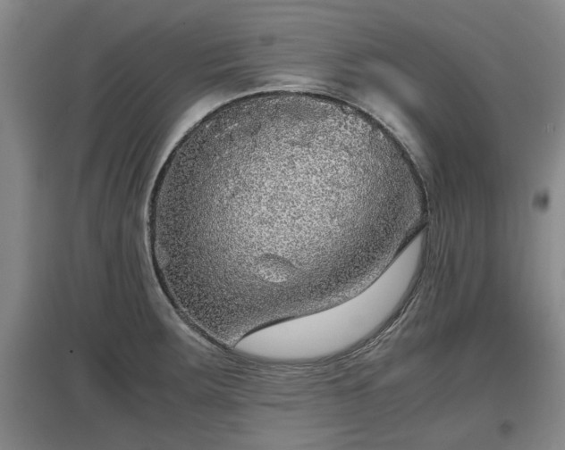 X0000097481283200802291350