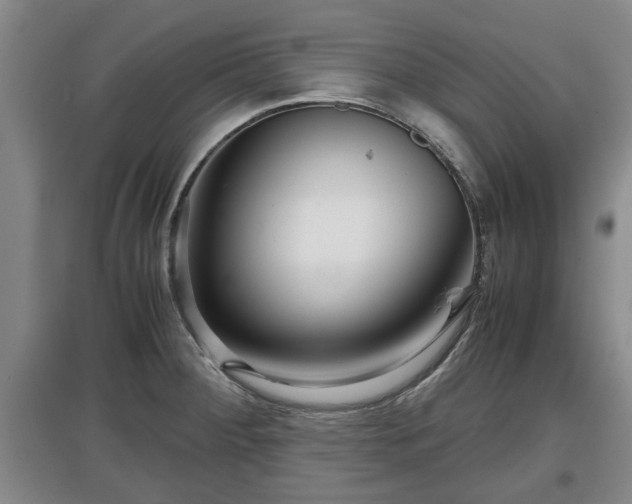 X0000097481284200802291350