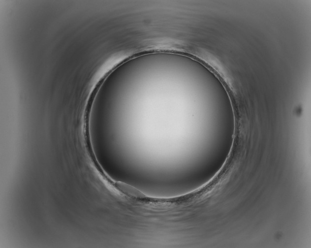 X0000097481285200802291350