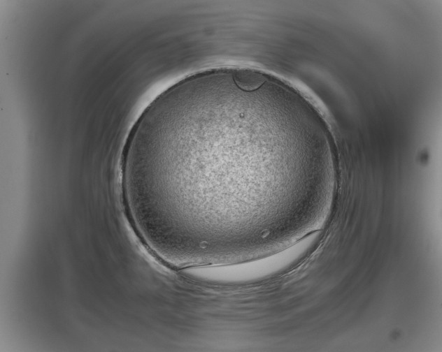 X0000097481287200802291350