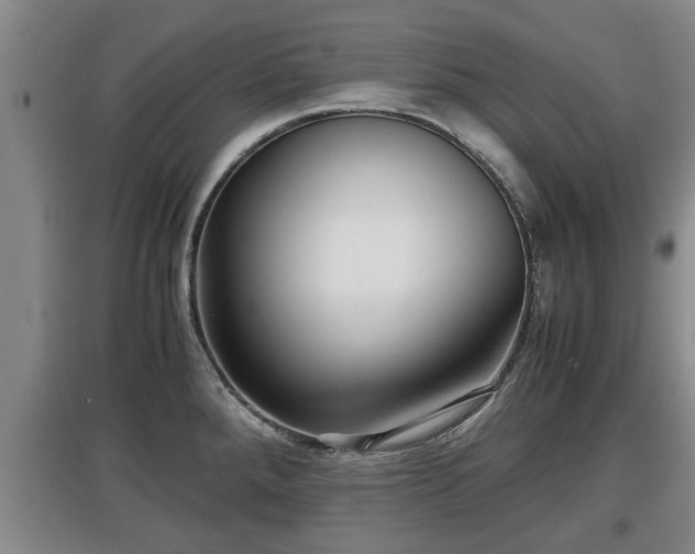 X0000097481288200802291350