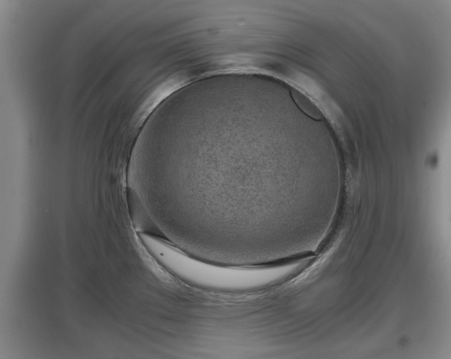 X0000097481289200802291350