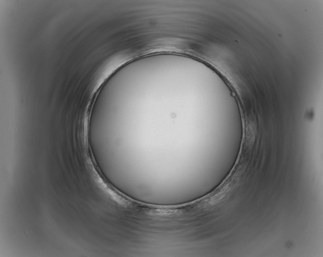 X0000097481290200802291350