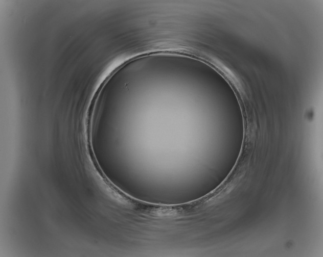 X0000097481291200802291350