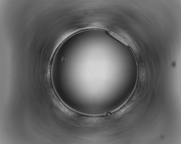X0000097481292200802291350