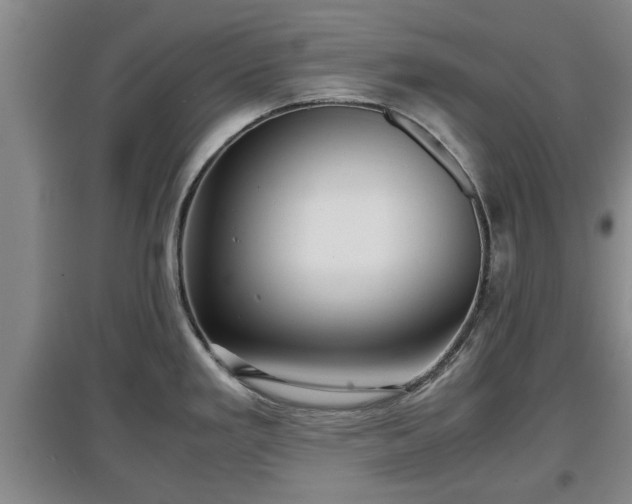 X0000097481293200802291350