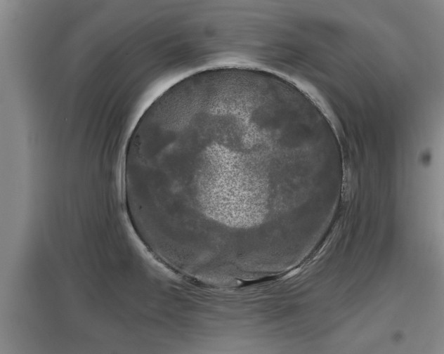 X0000097481295200802291350