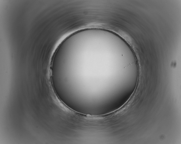 X0000097481296200802291350