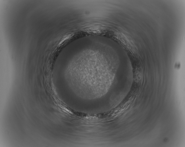X0000097481297200802291349