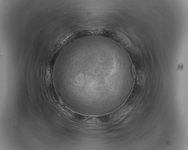 X0000097481298200802291349
