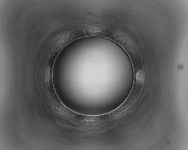 X0000097481299200802291349