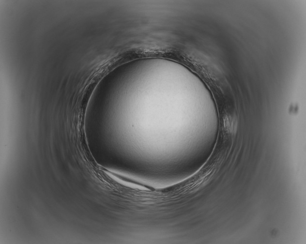 X0000097481300200802291349