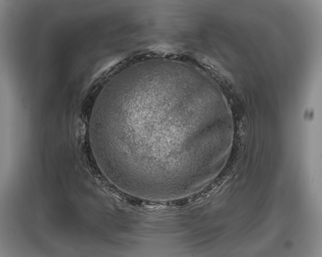 X0000097481302200802291349