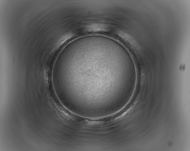 X0000097481305200802291349