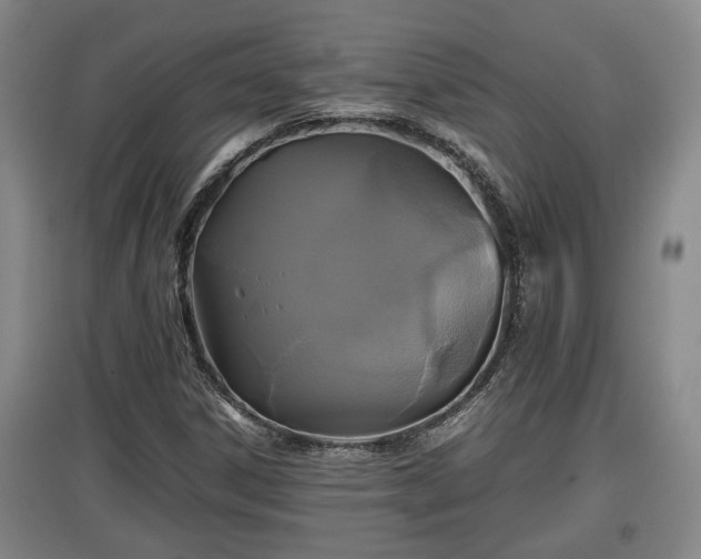 X0000097481306200802291349