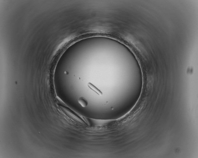 X0000097481307200802291349